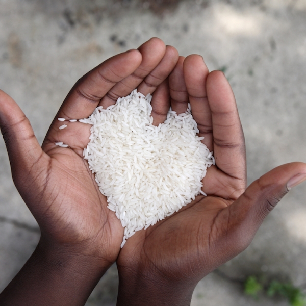 Thumbnail for Donate rice to hungry people